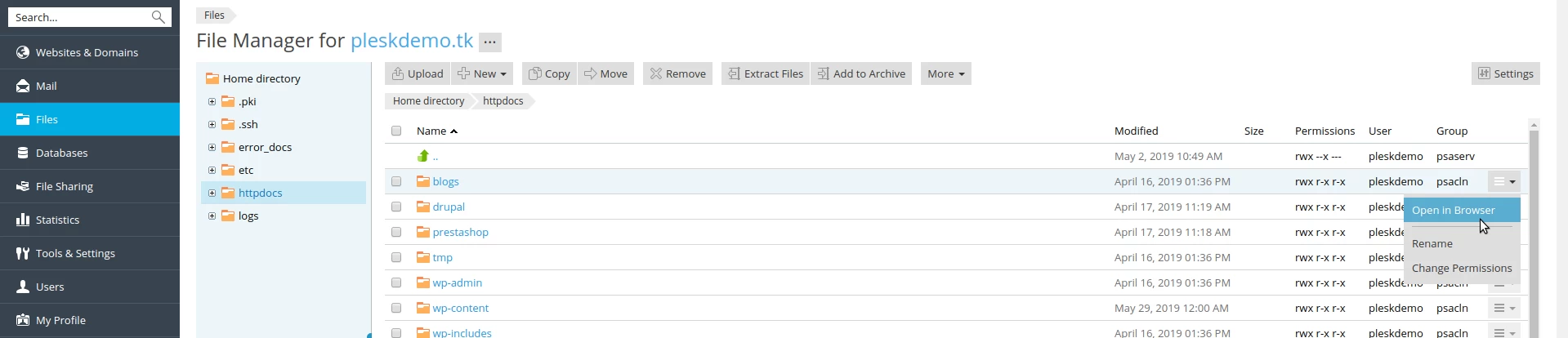 Plesk File Manager Overview