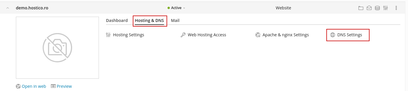 Paramètres DNS Plesk